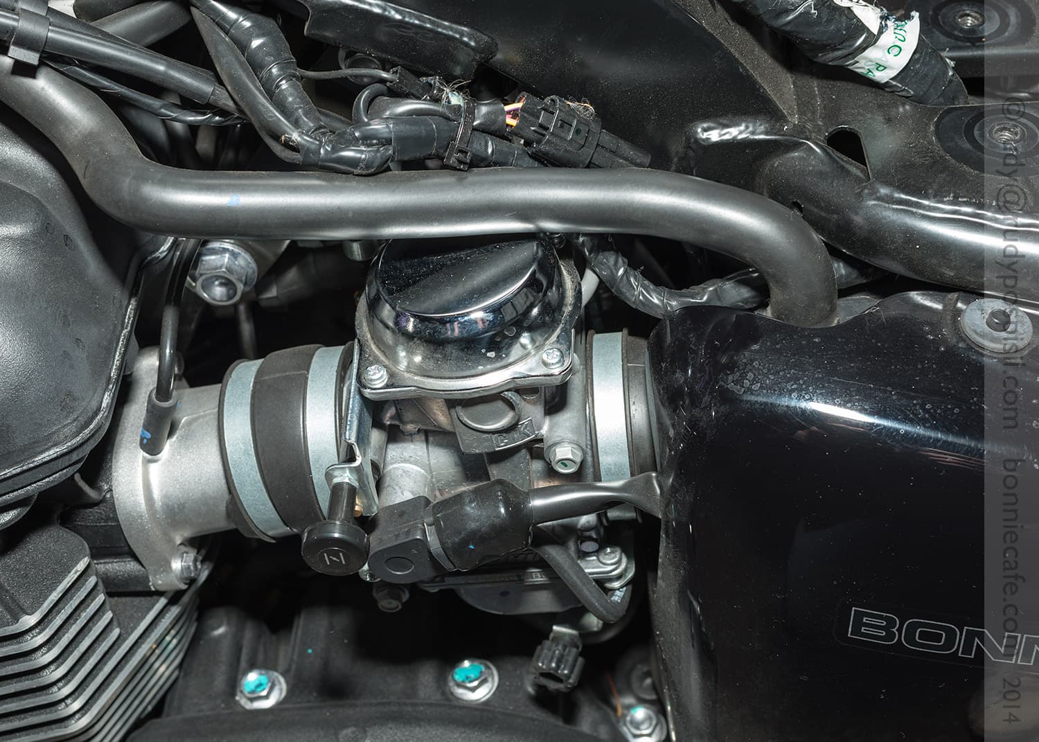 Left side stock "carb" cover of a Triumph Bonneville T100. Bonnie Cafe.